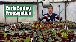 See How A Commercial Nursery Does Propagation in Spring  Behind The Scenes [upl. by Ellehcim]