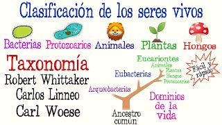 🌿5 Reinos y 3 Dominios de la Vida🐠  Clasificación de los seres vivos Fácil y Rápido  BIOLOGÍA [upl. by Chandra]