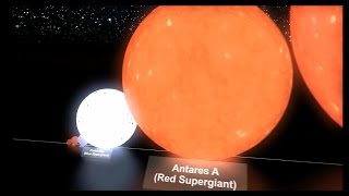 Biggest stars in Universe  Size comparison [upl. by Llertak]