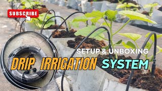 Drip Irrigation System Installation Guide  How to Setup Drip Irrigation for Beginners in Low Budget [upl. by Kironde]