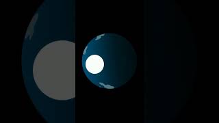 Why Does the Moon Have Phases facts funfacts viralvideo didyouknow phasesofthemoon earth [upl. by Benis]