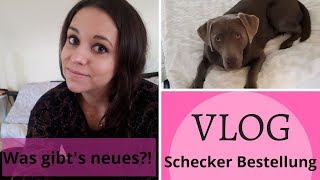 VLOG  Examen  Schecker Paket  Ohrenreinigung [upl. by Tloh]