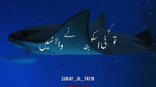 surah fatir translation  different qirat tilawat [upl. by Annmaria]