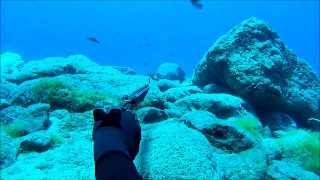 spearfishing Gomera Canary islands [upl. by Katie]