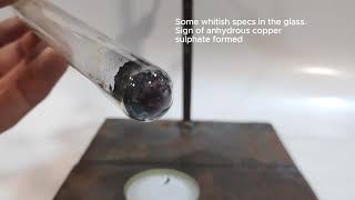 Sulphur and Copper Oxide reaction  Copper Sulphate syntesis [upl. by Yliram613]