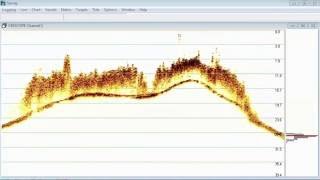 CEE HydroSystems CEESCOPE™ CEE ECHO™ Sub Aquatic Vegetation Canopy Detection 200 kHz [upl. by Ariait]