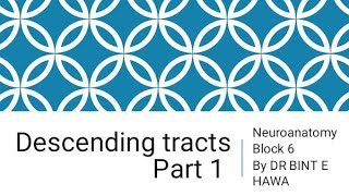 Descending Tracts Part 1  Corticospinal Tract  Neuroanatomy made easy by Dr Bint e Hawa [upl. by Yrolg]