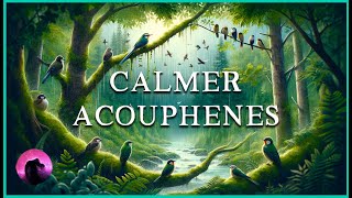 Soulagement Naturel des Acouphènes  Pluie Relaxante et Chants dOiseaux pour Retrouver la Quiétude [upl. by Solomon704]