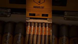 SLIPPERY ROCK CIGARS  Camacho Broadleaf Cigars [upl. by Esinereb]