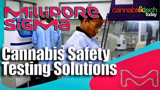 MilliporeSigma  Cannabis Safety Testing Solutions [upl. by Suravaj]