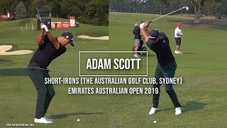 Adam Scott Golf Swing Short Irons DTL amp FO Emirates Australian Open Sydney December 2019 [upl. by Dnomaj]