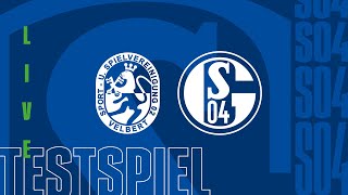 TESTSPIEL RELIVE  SSVg Velbert vs FC Schalke 04 [upl. by Akinad314]