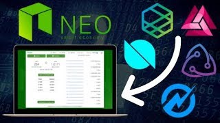 How To Add A Custom NEO NEP5 Token To NEON Wallet  Ontology ONT NEO Crypto [upl. by Shayne]