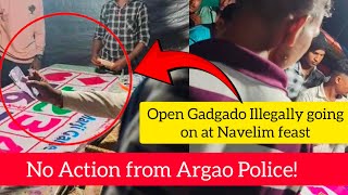 Open Gadgado Illegally going on at navelim feast even after requesting video from MrRahul Shanbhag [upl. by Nanoc]