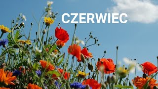 WODNIK CZERWIEC 2024 nowe sciezki zawodowe obfitosc 🦋🐞 [upl. by Anirat237]