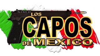 Los Capos Se Mexico  Se Les Pelo Baltazar [upl. by Marlowe787]