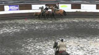 T 2425  Rodeo Curacautin  Serie Yeguas  9 y 10 de noviembre [upl. by Ttenaj782]