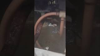 Cooler water pump not working [upl. by Asiole]