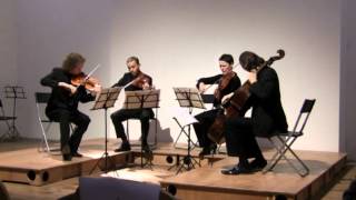 W A Mozart  String Quartet in G major KV 156 [upl. by Eizzil]