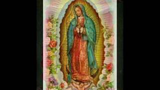 La Guadalupana [upl. by Samuele113]