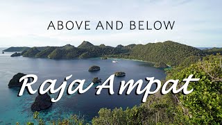 Raja Ampat  Above and Below [upl. by Ydde109]