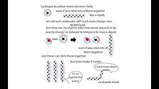 Lipid and membrane biochemistry [upl. by Standish865]