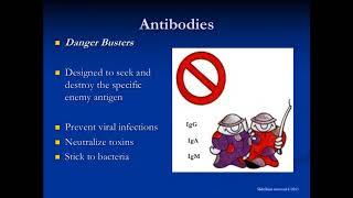 IgG Subclass amp Specific Antibody Deficiency [upl. by Izawa627]