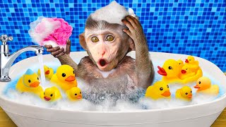 Baby Monkey Chu Chu Bathing In Bathtub And Eating Watermelon With Puppies In The Garden [upl. by Tala41]