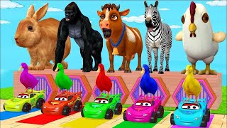 Long Slide Game With Elephant Gorilla Buffalo Hippopotamus Tiger  3d Animal Game  Funny 3d Animals [upl. by Olinad9]