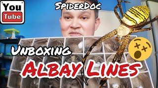 Gagambang ALBAY Lines UNBOXING at mga Exotic na Gagamba Spiders of BICOL [upl. by Paco]