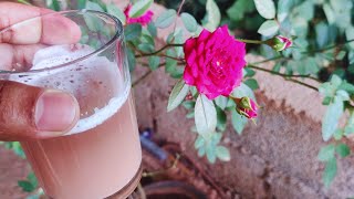 Natural fertilizer for rose plants  Use and see Awesome Results [upl. by Anidem964]