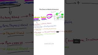 Multiple Endocrine Neoplasia pathology tcml [upl. by Notanhoj64]