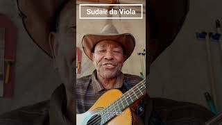 P1 Galo Veio sudairdaviola sertanejo musicasertaneja modadeviola musica modaodeviola viola [upl. by Hakkeber323]