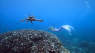 Real live mermaid swimming with a Sea Turtle [upl. by Uird]