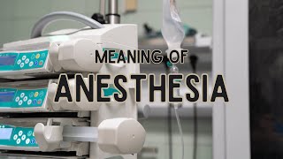 What is the meaning of Anesthesia [upl. by Lilyan976]