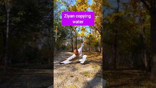 Ziyan Copying Water jincheng kungfu martialarts qigong [upl. by Aoht]