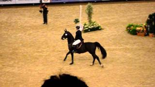 7ft 3 hoys Puissance winner 2011 [upl. by Tfat]