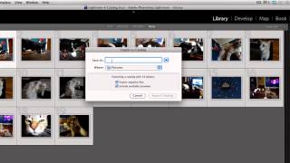 How to Export Lightroom Catalog [upl. by Angadresma]