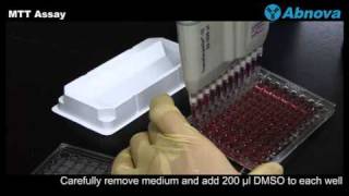 MTT Assay [upl. by Zealand]