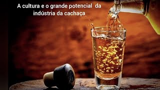 AICA AGRO CENÁRIOS  CACHAÇA  a mais antiga bebida destilada das Américas [upl. by Aramenta]