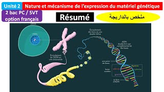 Résumé unité  nature et mécanisme de lexpression de linformation génétique 2BAC PC  SVT [upl. by Eiraminot]