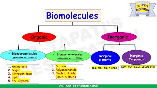 Biomolecules Class 11 Biology Chapter 9  Part 1 neet mbbs iitjambiotech csirnetlifescience [upl. by Rebba]