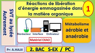 Réactions de libération dénergie emmagasinée dans la matière organique [upl. by Ardelia]