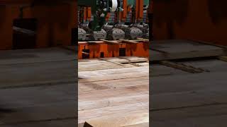 Automated Stick Stacking hardwoodlumberyard hardwoodproducts hardwoods [upl. by Grogan911]