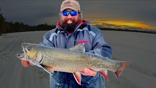 Moosehead Lake Brook Trout New Ice Fishing Video [upl. by Holds]