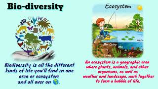 Biosystematics and Taxonomy  Biosystematics and taxonomy in hindi Its Basic concepts BscMsc 2 [upl. by Milas]