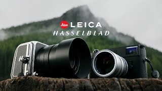 Hasselblad 907X vs Leica M11  Battle of Luxury Cameras wdavidherring [upl. by Otrebogad927]