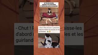 Trop drôle  cool drôle viralshorts viral memes [upl. by Rye]