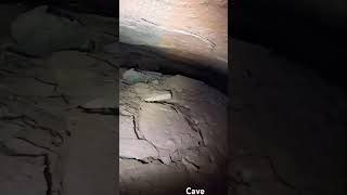 Exploring Forest Cave In Forest shorts cave underground [upl. by Lleynad331]