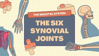 The Skeletal System 6 Synovial Joints in Human Body Science Learning Video [upl. by Idolem63]